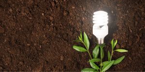 Ekosahkö on ymparistöystavallinen valinta